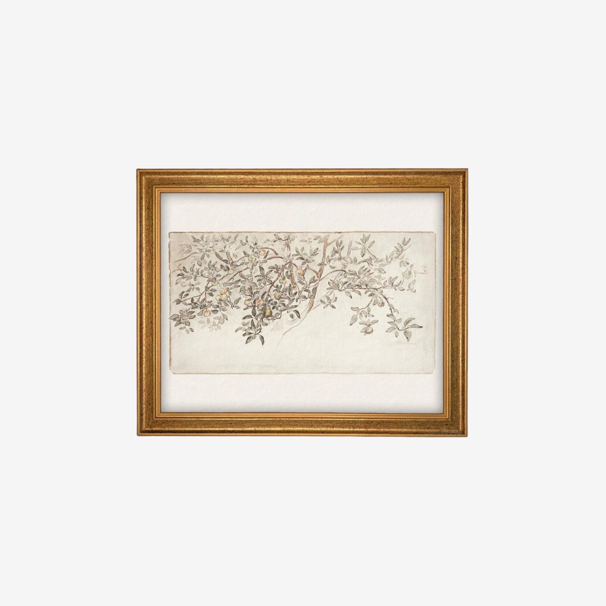 Elevate your space with the Vintage Framed Canvas Art - Citrus Tree - Casa Frame. This stunning piece of wall art brings the beauty of nature into your home with its warm and bright citrus tree.  Simply Elevated home Furnishing 