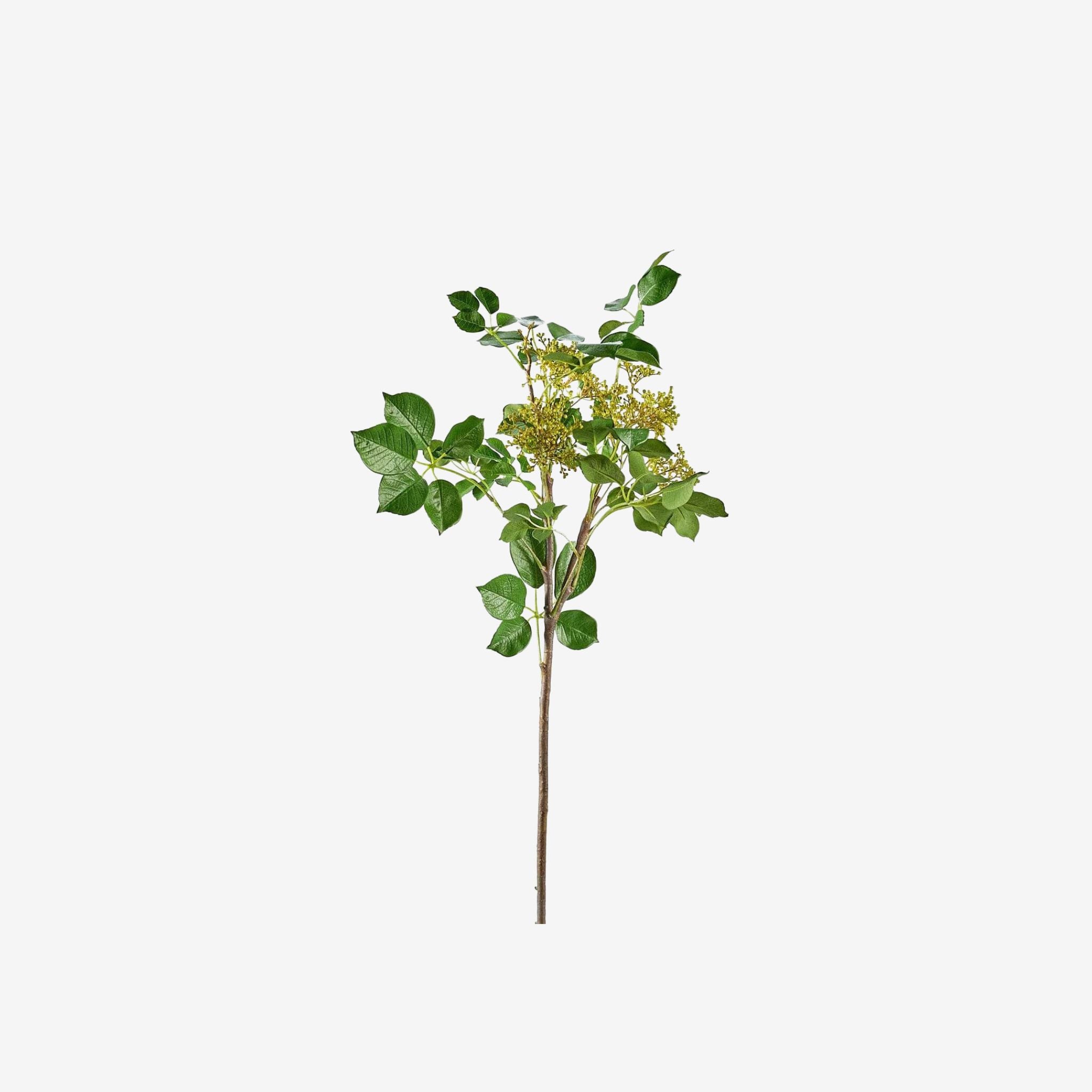 ARTIFICIAL TALL PRIVET SEEDED LEAF BRANCH -46”