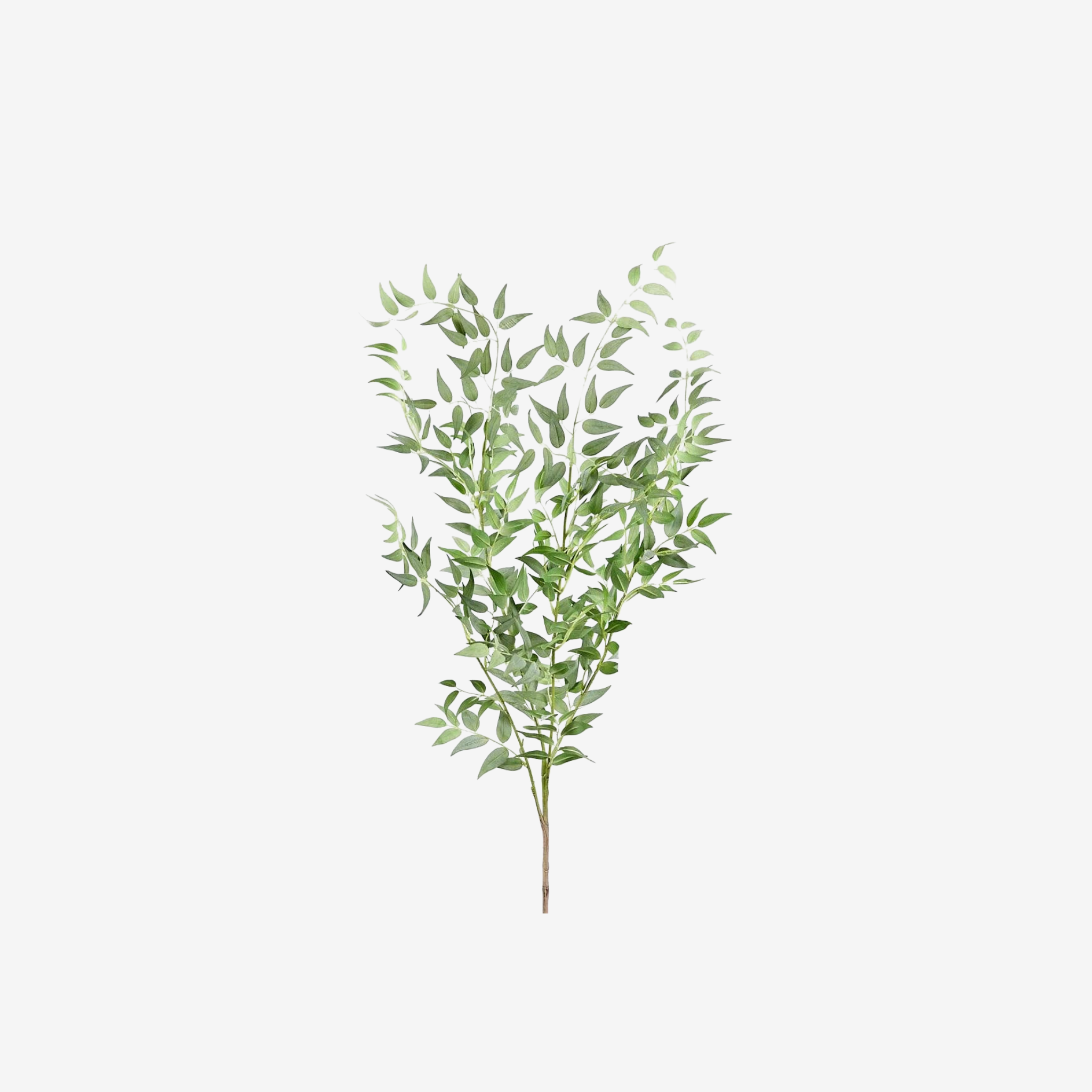 FAUX ITALIAN RUSCUS SPRAY - 46”