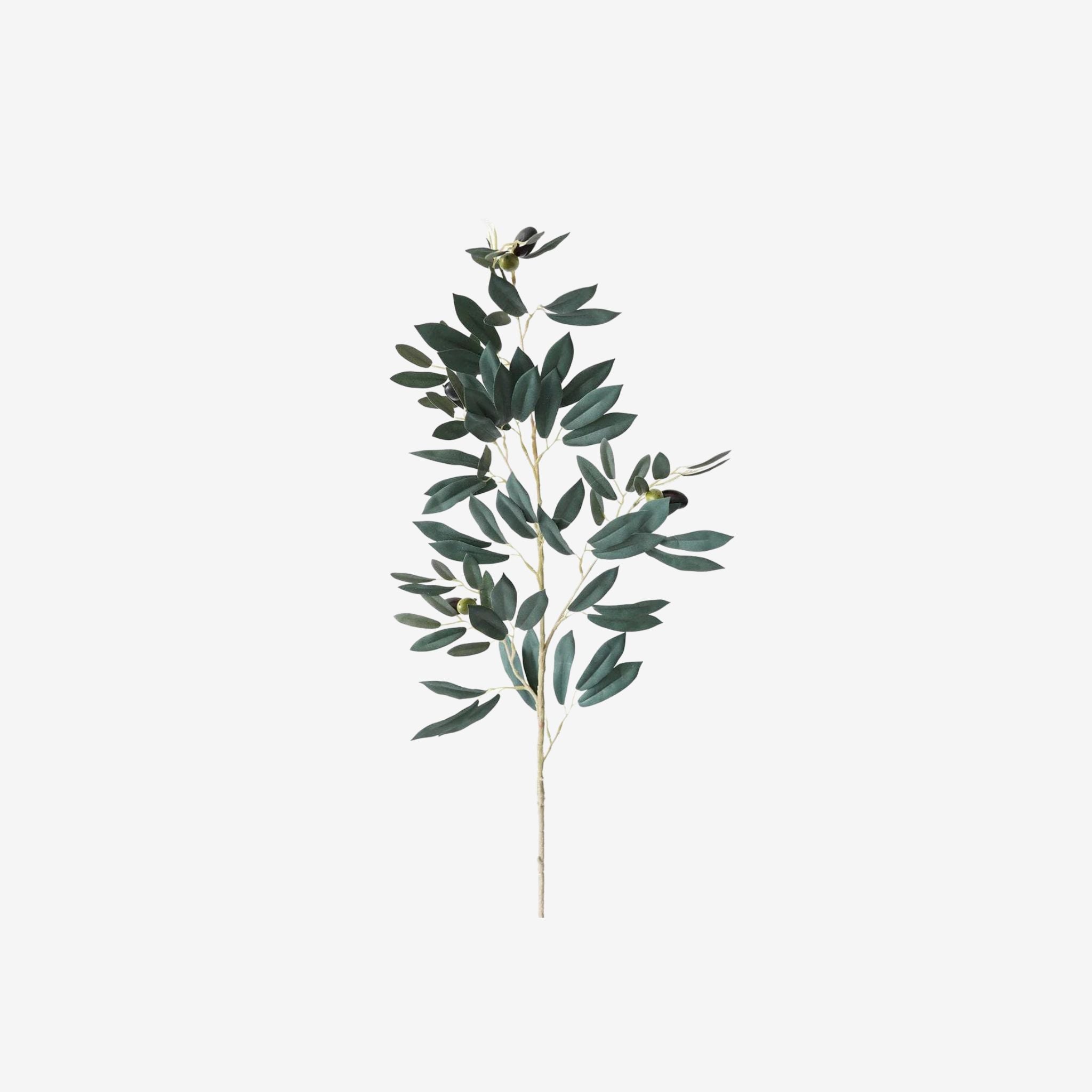 Faux Olive Branch - 35" - Simply Elevated Home Furnishing SLC 