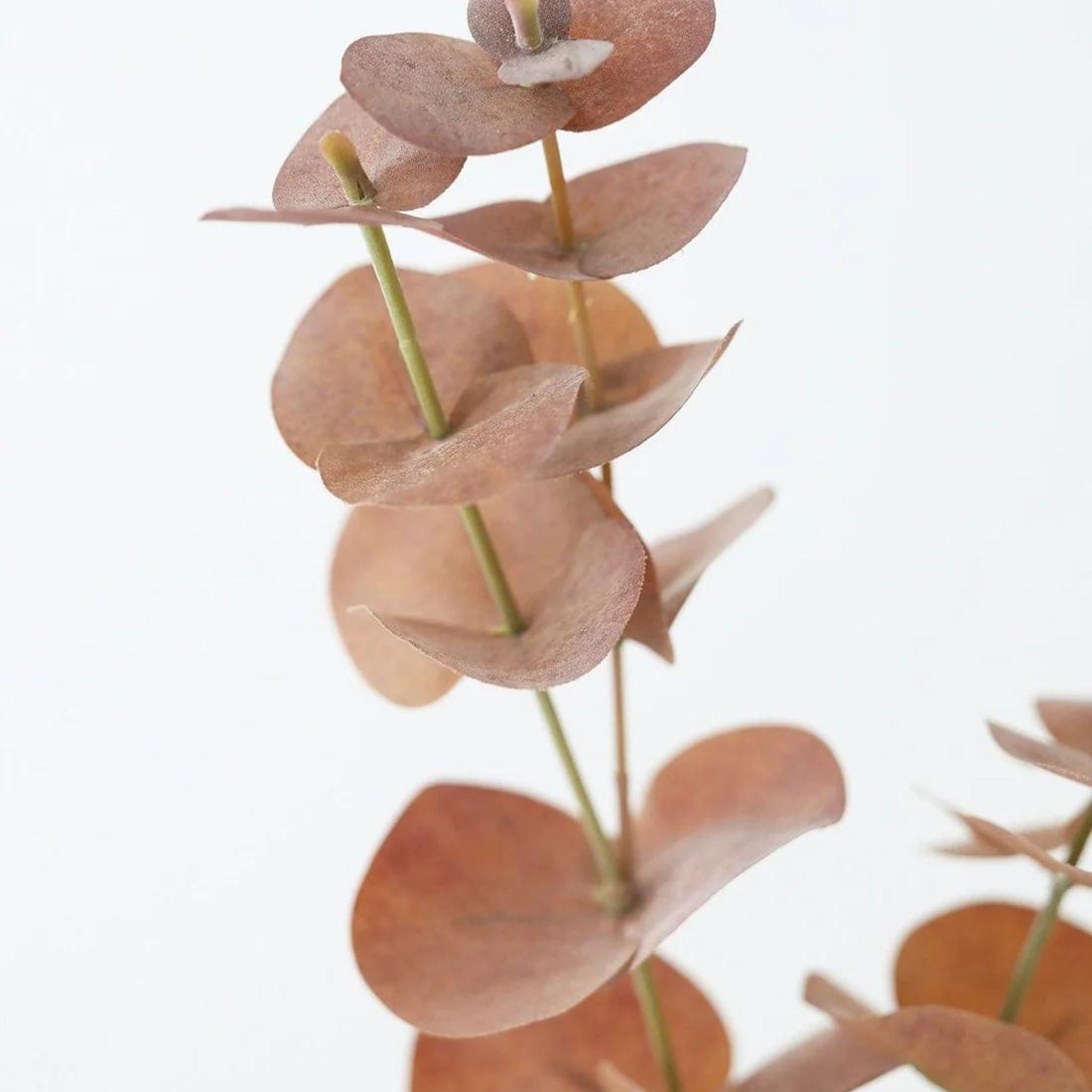 Terracotta Artificial Spiral Eucalyptus Leaves - 34" - Simply Elevated Home Furnishing SLC 
